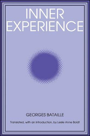 Inner Experience (SUNY Series Intersections: Philosophy and Critical Theory)