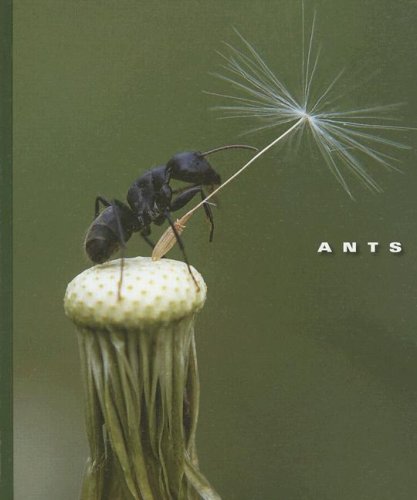 Ants (World of Insects),Used