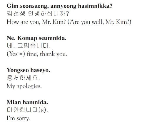 Practical Korean: Your Guide to Speaking Korean Quickly and Effortlessly in a Few Hours,Used