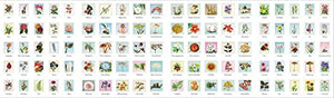 Outdoor School: Spot & Sticker Plants,Used