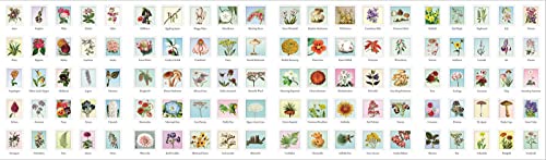 Outdoor School: Spot & Sticker Plants,Used