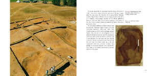 Treasures from Sutton Hoo,New