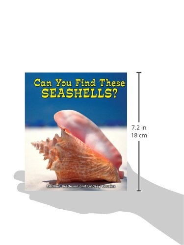 Can You Find These Seashells? (All About Nature),Used