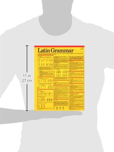 Latin Grammar (Barron's Card Guides) (Latin Edition),Used