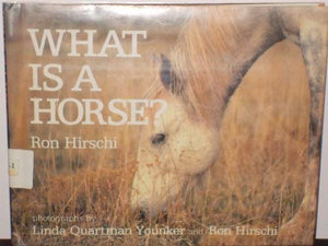 What Is a Horse?,Used