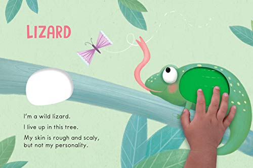 Wild Animals: A Touch and Feel Book  Children's Board Book  Educational,New