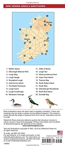 Ireland Birds: A Folding Pocket Guide To Familiar Species (A Pocket Naturalist Guide)