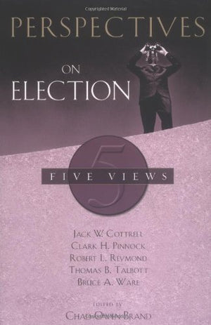 Perspectives On Election