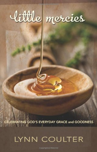 Little Mercies: Celebrating God'S Everyday Grace And Goodness,Used