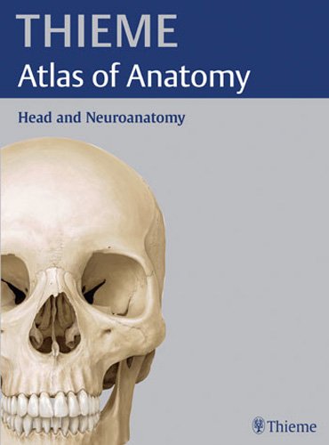 Head and Neuroanatomy (THIEME Atlas of Anatomy) (THIEME Atlas of Anatomy Series),Used