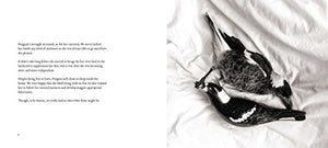 Penguin the Magpie: The Odd Little Bird Who Saved a Family,Used