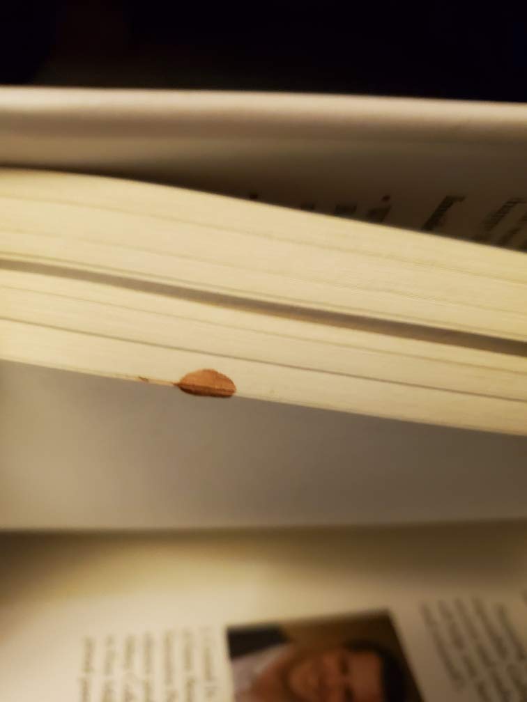 Costa Rica Adventuremap-new