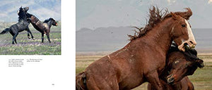 Wild Horses of the West,Used