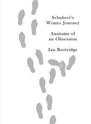 Schubert'S Winter Journey: Anatomy Of An Obsession,Used