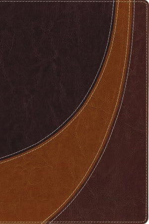 Niv, The Case For Christ Study Bible, Imitation Leather, Brown: Investigating The Evidence For Belief