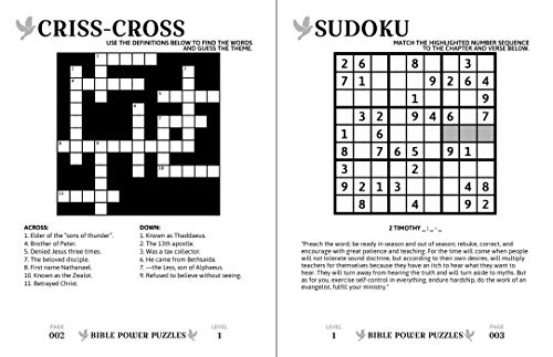 Bible Power Puzzles: 500 ScriptureInspired GamesLearn the Word of God Through the Power of Puzzles! (Large Print),New