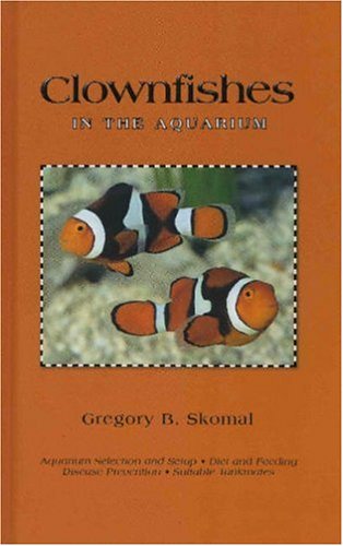 Clownfishes in the Aquarium,New