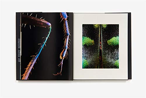 Microsculpture: Portraits of Insects,New