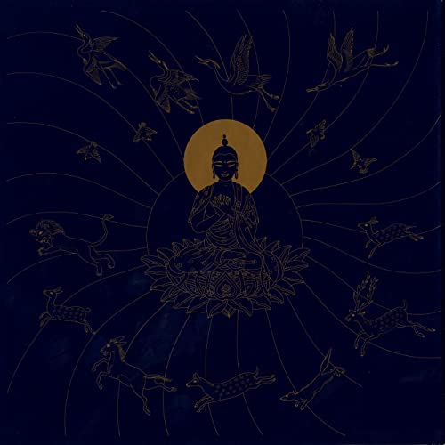 Buddha Stories
