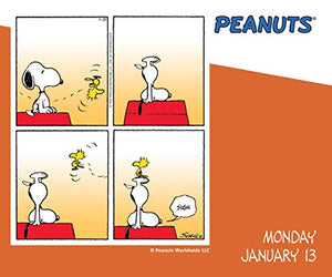 Peanuts 2020 DaytoDay Calendar,Used