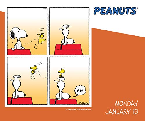 Peanuts 2020 DaytoDay Calendar,Used