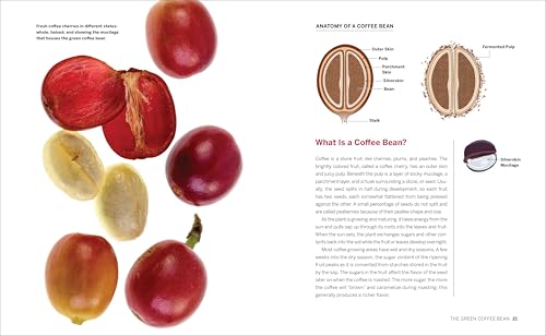 Coffee Roaster'S Handbook: A Howto Guide For Home And Professional Roasters