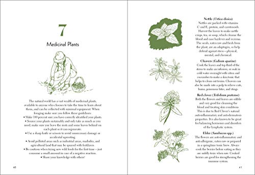 50 Things to Do in the Wild (Explore More)-Like New