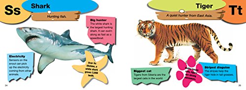 Az Of Animals (Az Pre School)