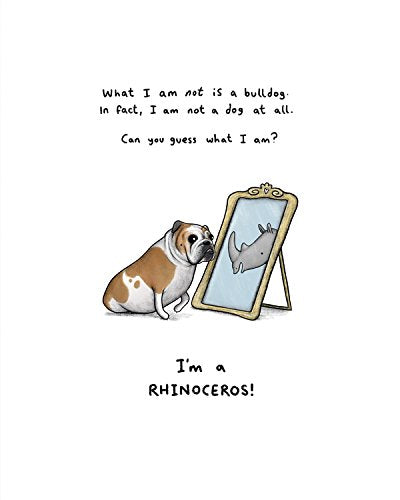 Lulu Is A Rhinoceros-new