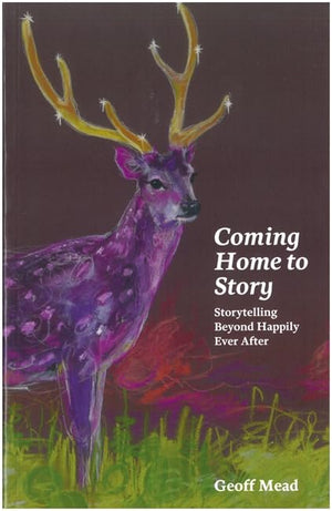 Coming Home to Story: Storytelling Beyond Happily Ever After,Used