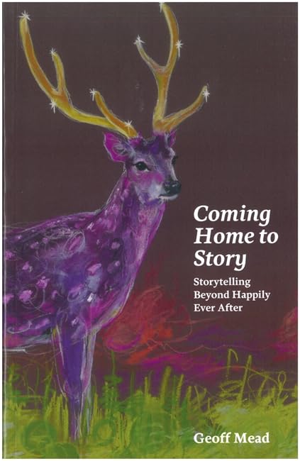 Coming Home to Story: Storytelling Beyond Happily Ever After,Used