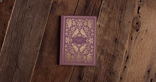 ESV Illuminated Scripture Journal: Luke,Used