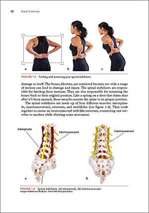 Back Exercise: Stabilize, Mobilize, and Reduce Pain,Used