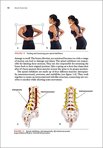 Back Exercise: Stabilize, Mobilize, and Reduce Pain,Used