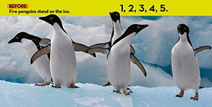 National Geographic Kids Look & Learn: Before and After,Used