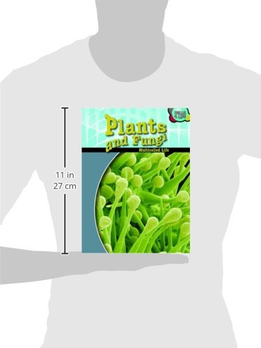 Plants & Fungi (Cells & Life),Used
