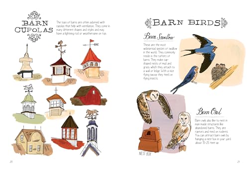 Farm Anatomy: The Curious Parts And Pieces Of Country Life