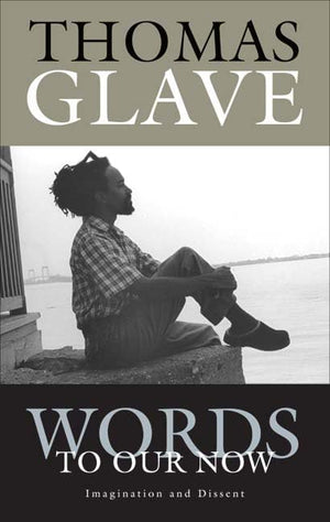Words to Our Now: Imagination and Dissent,Used