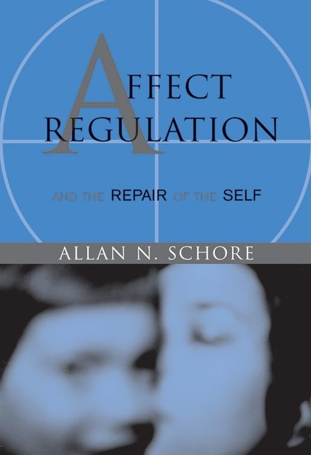 Affect Regulation And The Repair Of The Self (Norton Series On Interpersonal Neurobiology)