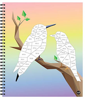 Brain Games  Sticker by Number: Birds (42 Images to Sticker),Used