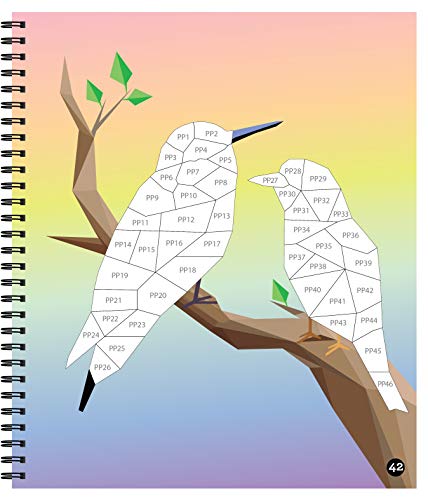 Brain Games  Sticker by Number: Birds (42 Images to Sticker),Used