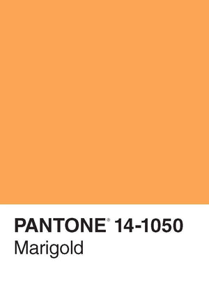 Pantone 50 Postcards,New