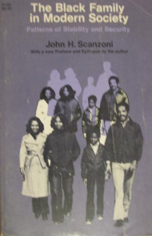 Black Family in Modern Society: Patterns of Stability and Security (A Phoenix Book ; P726),Used