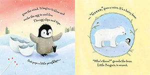 Little Lost Penguin: Padded Board Book,Used