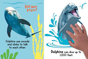 Ocean Friends  Touch and Feel Board Book  Sensory Board Book,New