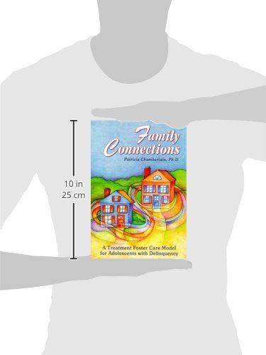 Family Connections: A Treatment Foster Care Model for Adolescents With Delinquency (A Social Interactional Approach, Vol 5),Used