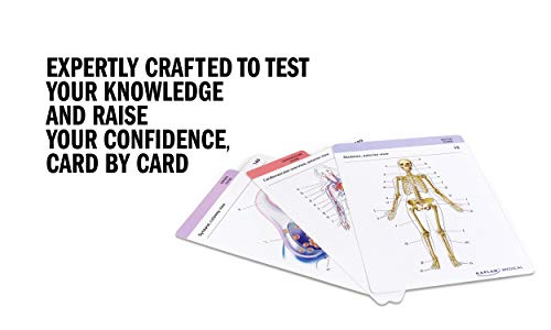 Anatomy Flashcards