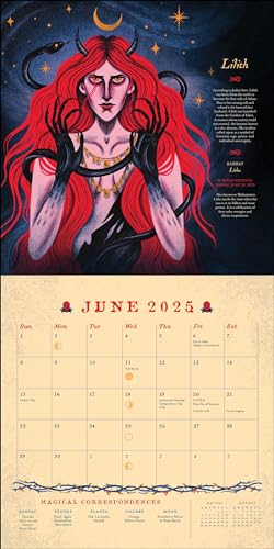 Witches Through History 2025 Wall Calendar,Used