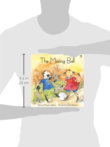 The Missing Ball (4) (Cool Nguni),Used