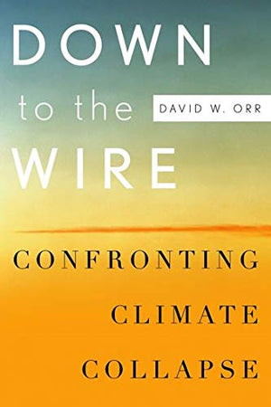Down to the Wire: Confronting Climate Collapse,Used